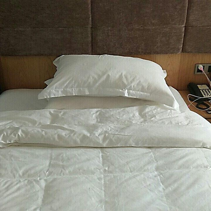 Wen Xin Yuan Homestay Puli Eksteriør billede